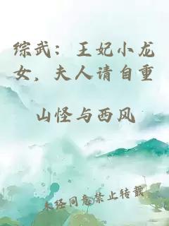综武:王妃小龙女,夫人请自重小说封面 综武:王妃小龙女,夫人请自重
